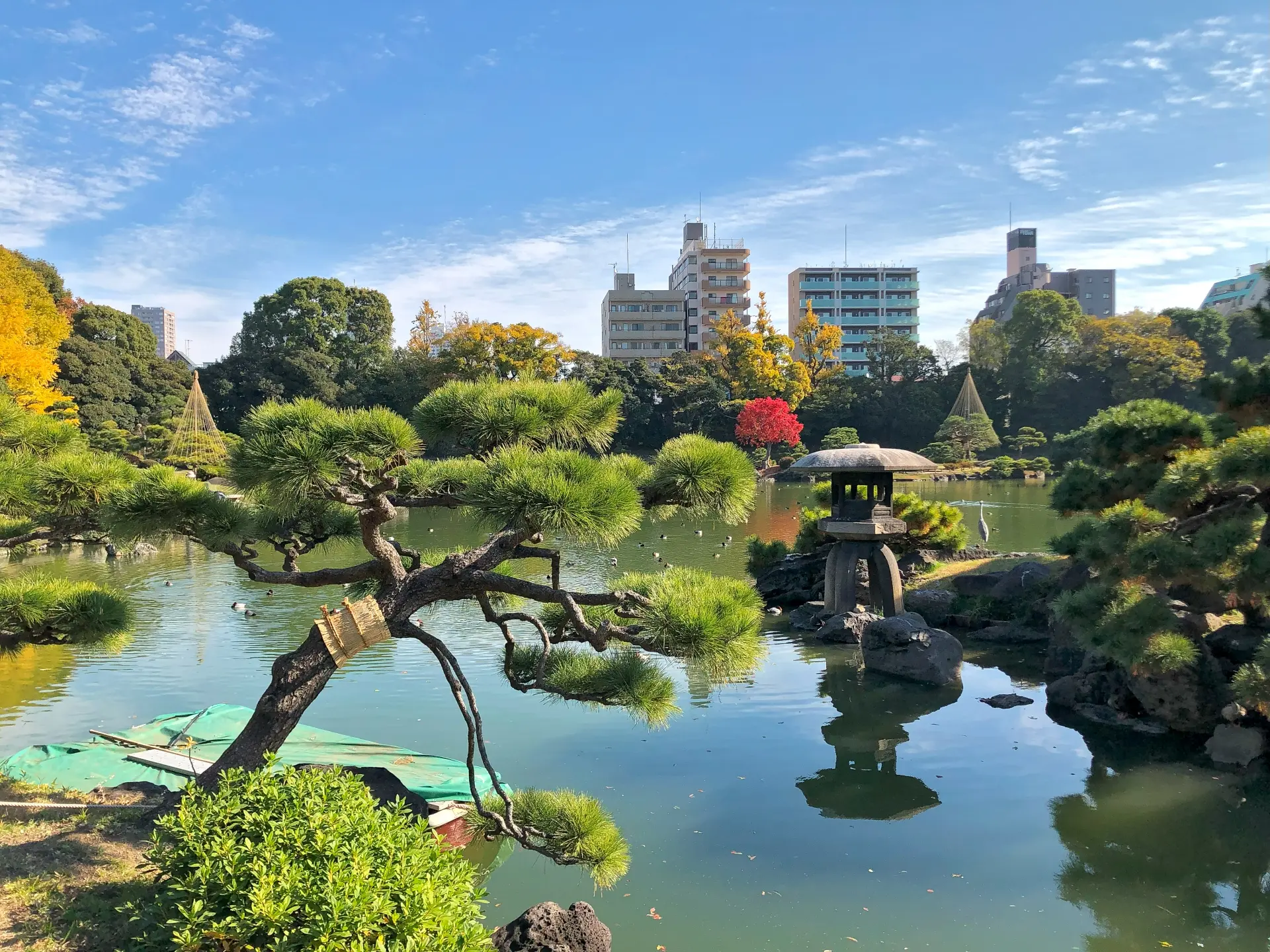清澄庭園の池と庭石の風景