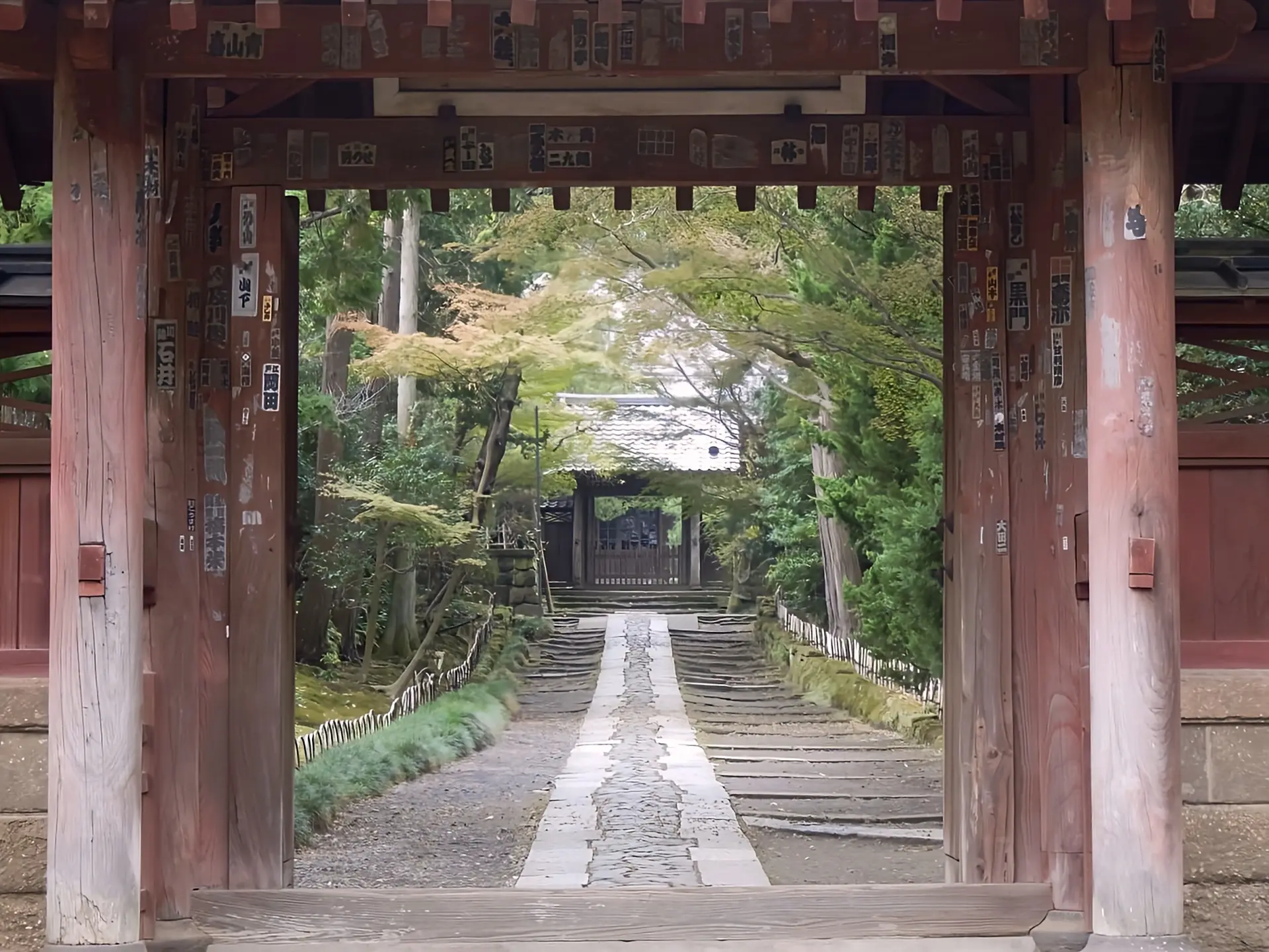 鎌倉の寿福寺で木々に囲まれた石畳の参道