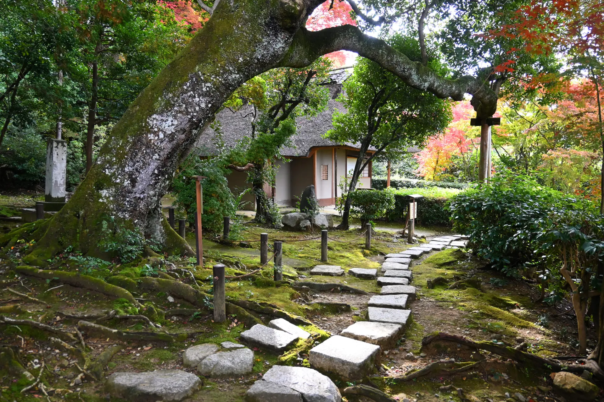 与謝蕪村が再興した京都・金福寺の芭蕉庵