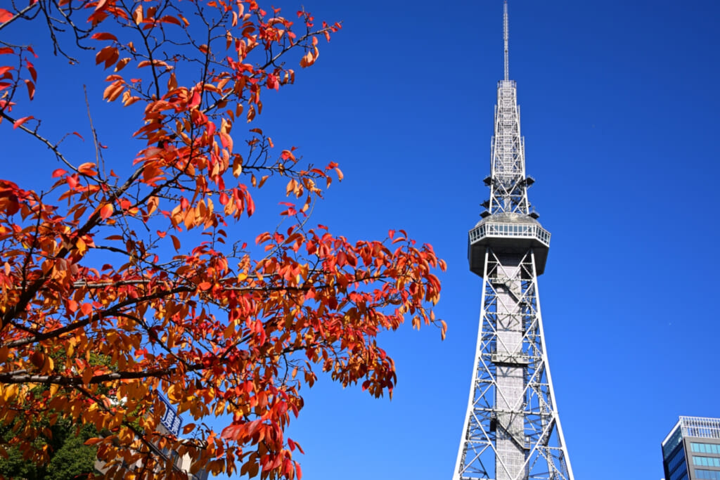 名古屋・栄の中部電力 MIRAI TOWERと秋の紅葉、青空が広がる久屋大通公園
