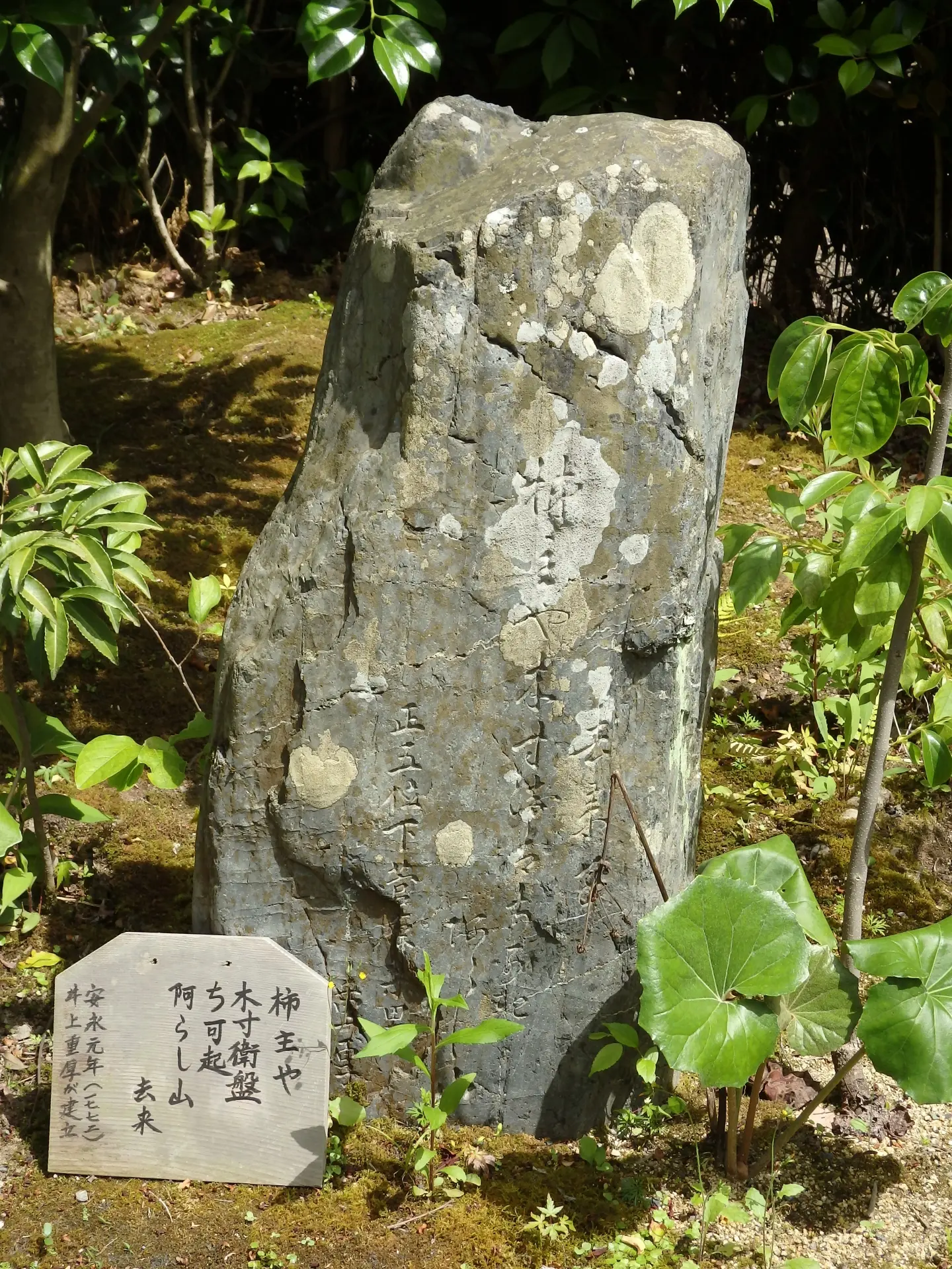 京都・嵯峨野の落柿舎にある向井去来の句碑